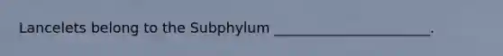 Lancelets belong to the Subphylum ______________________.