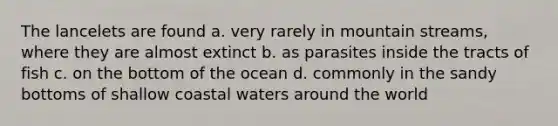 The lancelets are found a. very rarely in mountain streams, where they are almost extinct b. as parasites inside the tracts of fish c. on the bottom of the ocean d. commonly in the sandy bottoms of shallow coastal waters around the world