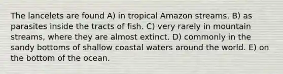 The lancelets are found A) in tropical Amazon streams. B) as parasites inside the tracts of fish. C) very rarely in mountain streams, where they are almost extinct. D) commonly in the sandy bottoms of shallow coastal waters around the world. E) on the bottom of the ocean.