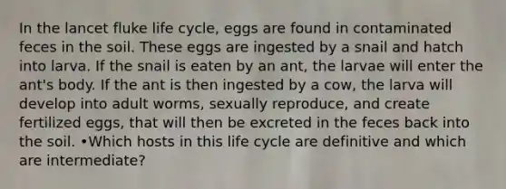 In the lancet fluke life cycle, eggs are found in contaminated feces in the soil. These eggs are ingested by a snail and hatch into larva. If the snail is eaten by an ant, the larvae will enter the ant's body. If the ant is then ingested by a cow, the larva will develop into adult worms, sexually reproduce, and create fertilized eggs, that will then be excreted in the feces back into the soil. •Which hosts in this life cycle are definitive and which are intermediate?