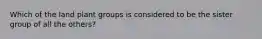 Which of the land plant groups is considered to be the sister group of all the others?