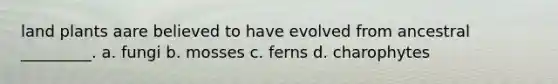 land plants aare believed to have evolved from ancestral _________. a. fungi b. mosses c. ferns d. charophytes