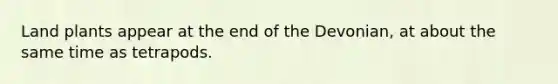 Land plants appear at the end of the Devonian, at about the same time as tetrapods.
