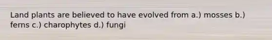 Land plants are believed to have evolved from a.) mosses b.) ferns c.) charophytes d.) fungi