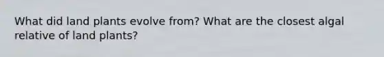What did land plants evolve from? What are the closest algal relative of land plants?