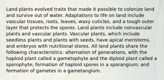 Land plants evolved traits that made it possible to colonize land and survive out of water. Adaptations to <a href='https://www.questionai.com/knowledge/k9VzeMAjx8-life-on-land' class='anchor-knowledge'>life on land</a> include vascular tissues, roots, leaves, waxy cuticles, and a tough outer layer that protects the spores. Land plants include non<a href='https://www.questionai.com/knowledge/kbaUXKuBoK-vascular-plants' class='anchor-knowledge'>vascular plants</a> and vascular plants. Vascular plants, which include seedless plants and plants with seeds, have apical meristems, and embryos with nutritional stores. All land plants share the following characteristics: alternation of generations, with the haploid plant called a gametophyte and the diploid plant called a sporophyte; formation of haploid spores in a sporangium; and formation of gametes in a gametangium.