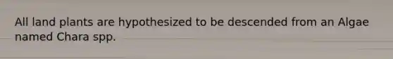All land plants are hypothesized to be descended from an Algae named Chara spp.