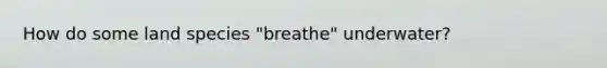 How do some land species "breathe" underwater?