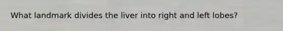 What landmark divides the liver into right and left lobes?