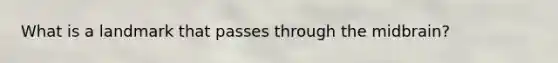 What is a landmark that passes through the midbrain?
