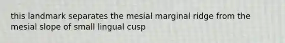 this landmark separates the mesial marginal ridge from the mesial slope of small lingual cusp