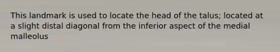 This landmark is used to locate the head of the talus; located at a slight distal diagonal from the inferior aspect of the medial malleolus