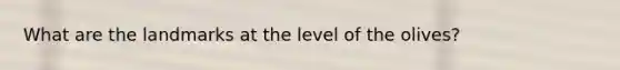 What are the landmarks at the level of the olives?