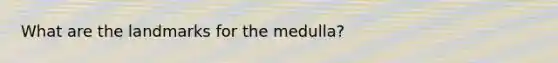 What are the landmarks for the medulla?