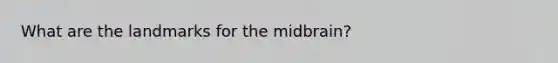 What are the landmarks for the midbrain?