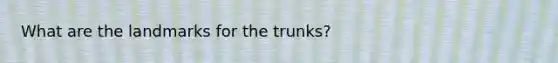 What are the landmarks for the trunks?