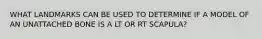 WHAT LANDMARKS CAN BE USED TO DETERMINE IF A MODEL OF AN UNATTACHED BONE IS A LT OR RT SCAPULA?
