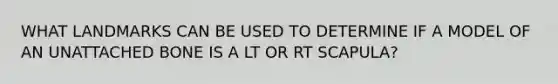 WHAT LANDMARKS CAN BE USED TO DETERMINE IF A MODEL OF AN UNATTACHED BONE IS A LT OR RT SCAPULA?