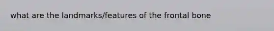 what are the landmarks/features of the frontal bone