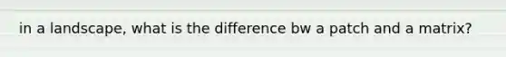 in a landscape, what is the difference bw a patch and a matrix?