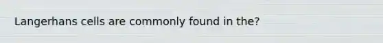 Langerhans cells are commonly found in the?