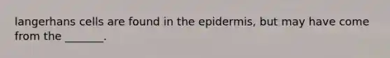 langerhans cells are found in the epidermis, but may have come from the _______.