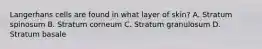 Langerhans cells are found in what layer of skin? A. Stratum spinosum B. Stratum corneum C. Stratum granulosum D. Stratum basale