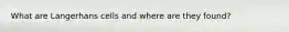 What are Langerhans cells and where are they found?