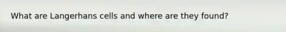 What are Langerhans cells and where are they found?