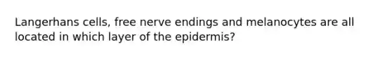 Langerhans cells, free nerve endings and melanocytes are all located in which layer of the epidermis?