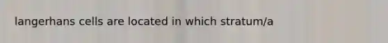 langerhans cells are located in which stratum/a