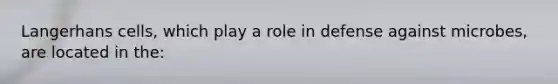 Langerhans cells, which play a role in defense against microbes, are located in the: