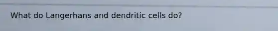 What do Langerhans and dendritic cells do?