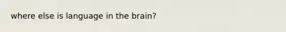 where else is language in the brain?