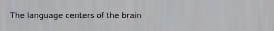 The language centers of the brain