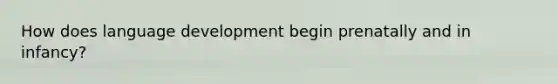 How does language development begin prenatally and in infancy?