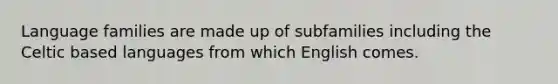 Language families are made up of subfamilies including the Celtic based languages from which English comes.