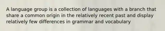 A language group is a collection of languages with a branch that share a common origin in the relatively recent past and display relatively few differences in grammar and vocabulary