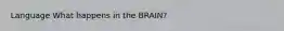 Language What happens in the BRAIN?