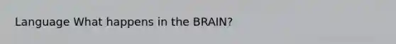 Language What happens in the BRAIN?