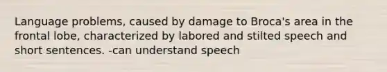 Language problems, caused by damage to Broca's area in the frontal lobe, characterized by labored and stilted speech and short sentences. -can understand speech