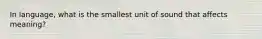 In language, what is the smallest unit of sound that affects meaning?