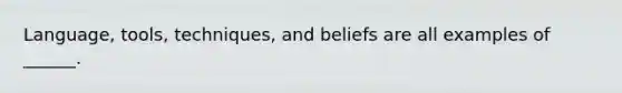 Language, tools, techniques, and beliefs are all examples of ______.