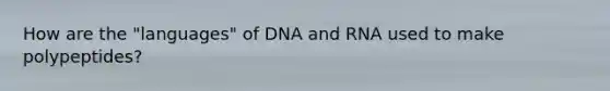 How are the "languages" of DNA and RNA used to make polypeptides?