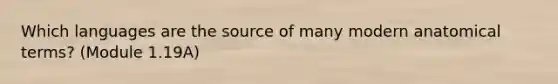 Which languages are the source of many modern anatomical terms? (Module 1.19A)