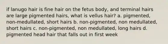 if lanugo hair is fine hair on the fetus body, and terminal hairs are large pigmented hairs, what is vellus hair? a. pigmented, non-medullated, short hairs b. non-pigmented, non medullated, short hairs c. non-pigmented, non medullated, long hairs d. pigmented head hair that falls out in first week