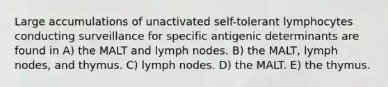 Large accumulations of unactivated self-tolerant lymphocytes conducting surveillance for specific antigenic determinants are found in A) the MALT and lymph nodes. B) the MALT, lymph nodes, and thymus. C) lymph nodes. D) the MALT. E) the thymus.