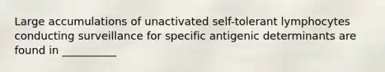 Large accumulations of unactivated self-tolerant lymphocytes conducting surveillance for specific antigenic determinants are found in __________