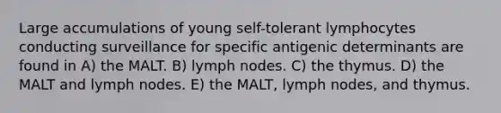 Large accumulations of young self-tolerant lymphocytes conducting surveillance for specific antigenic determinants are found in A) the MALT. B) lymph nodes. C) the thymus. D) the MALT and lymph nodes. E) the MALT, lymph nodes, and thymus.