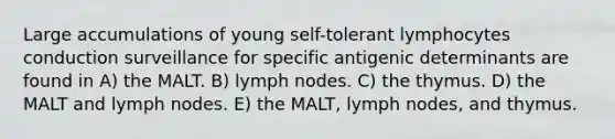 Large accumulations of young self-tolerant lymphocytes conduction surveillance for specific antigenic determinants are found in A) the MALT. B) lymph nodes. C) the thymus. D) the MALT and lymph nodes. E) the MALT, lymph nodes, and thymus.